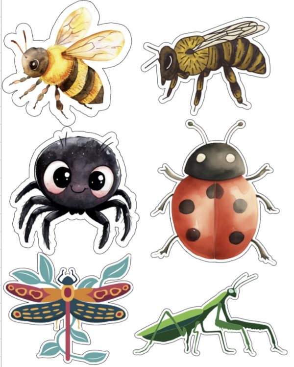 Insecten - 6 stuks - Afbeelding 2