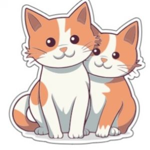 Katten - 6 stuks
