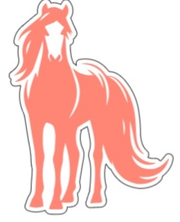 Paarden - 6 stuks