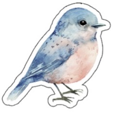 Vogels - 6 stuks