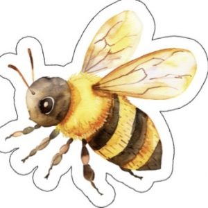 Insecten - 6 stuks